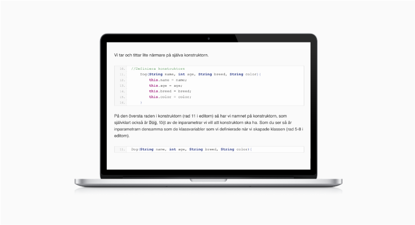Programmering Java Python JavaScript HTML CSS
